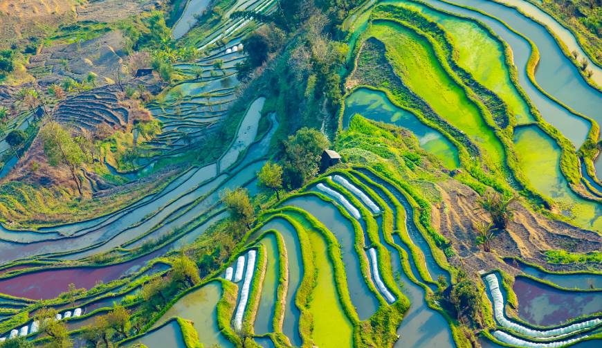 走进红河县TVC拍摄：解锁本地化场景与创意镜头的完美融合